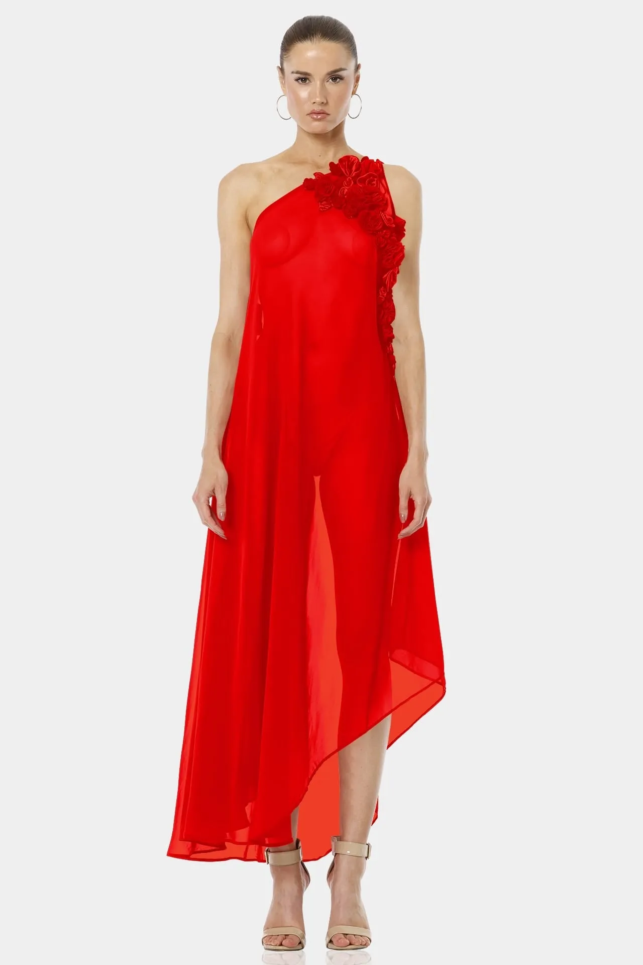 Architect's House Red Lava Long Sheer Dress