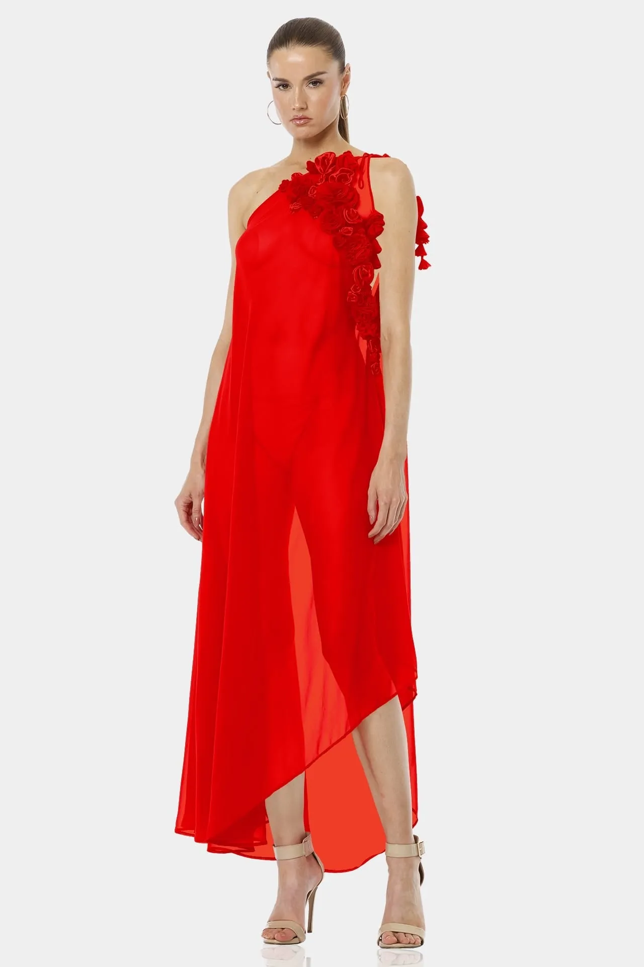 Architect's House Red Lava Long Sheer Dress